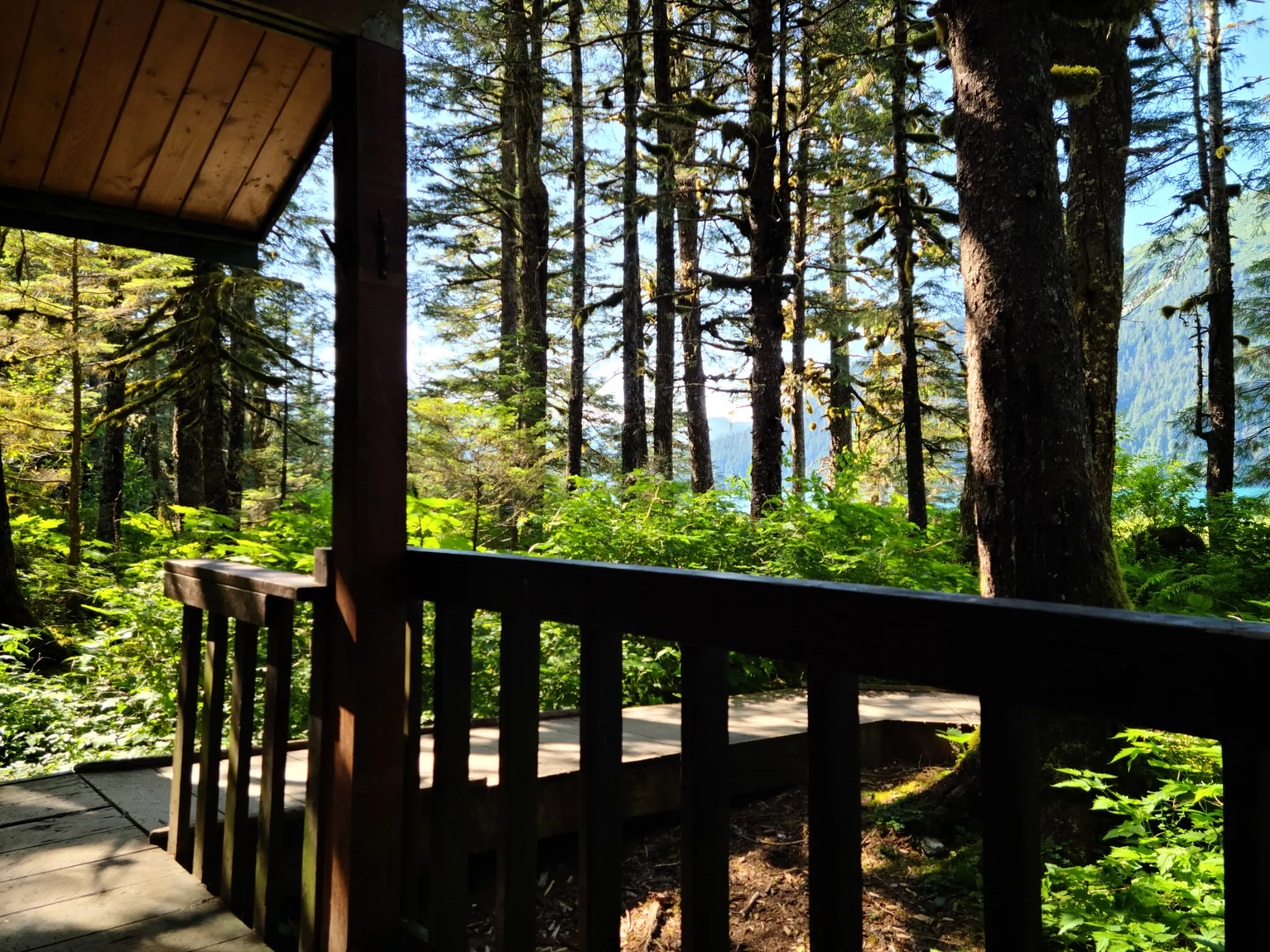 The view from a cabin porch out over a forested cove and glacial water